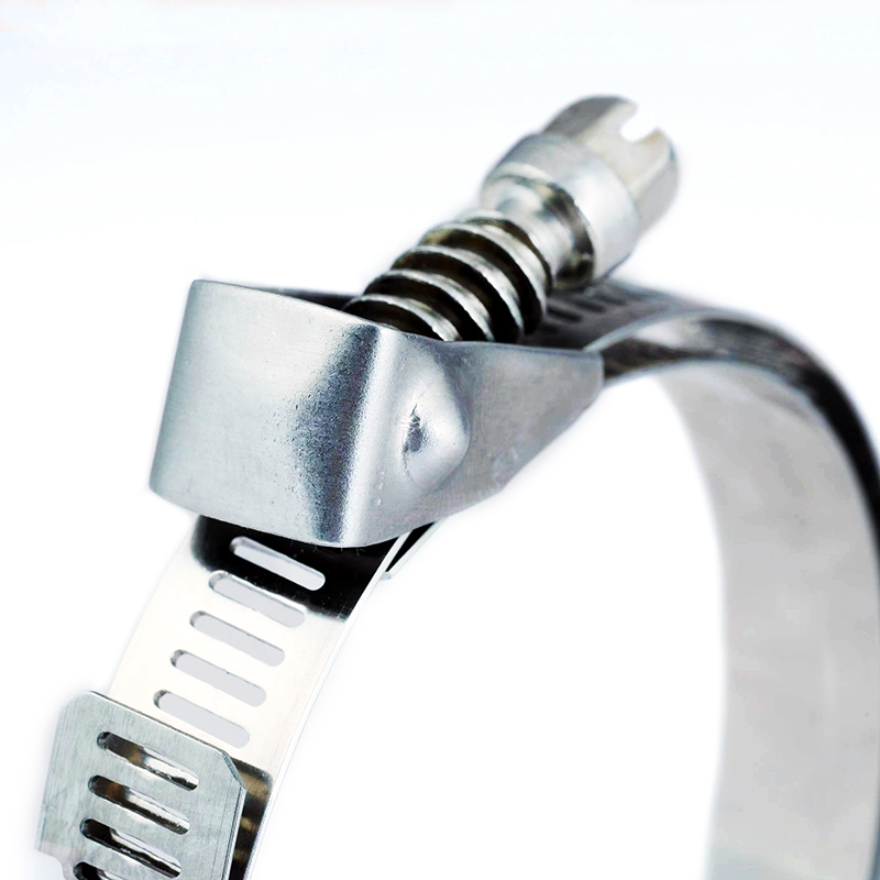 Quick Release Duct Clips Buy America type hose clamp Product on